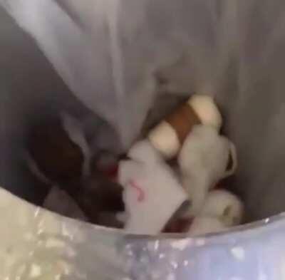 Don’t put your head in a bin