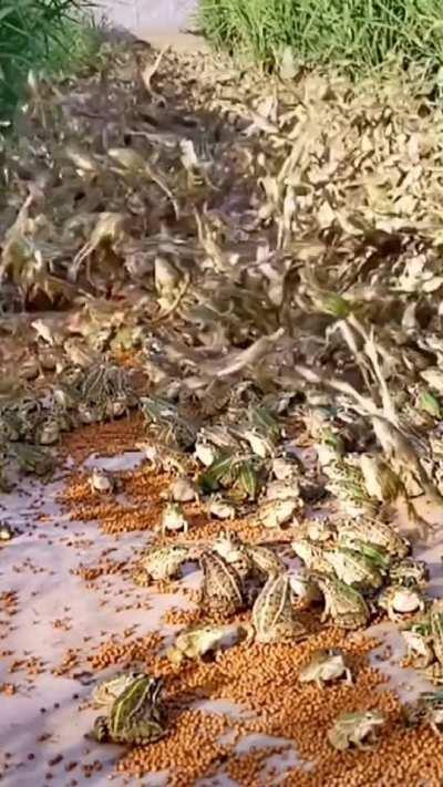 I think this belongs here too