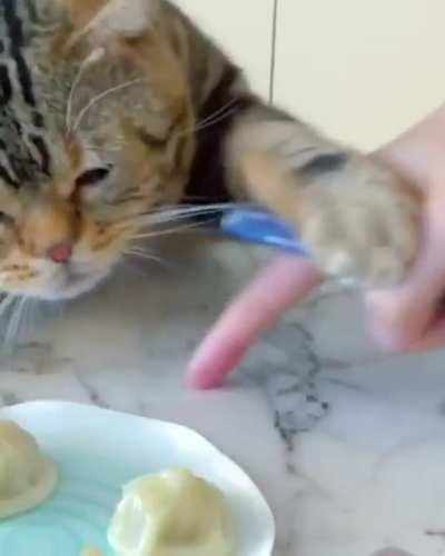 when you love dumplings very much