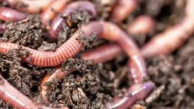 This kid spitting straight facts