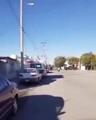 You can’t run from your mom