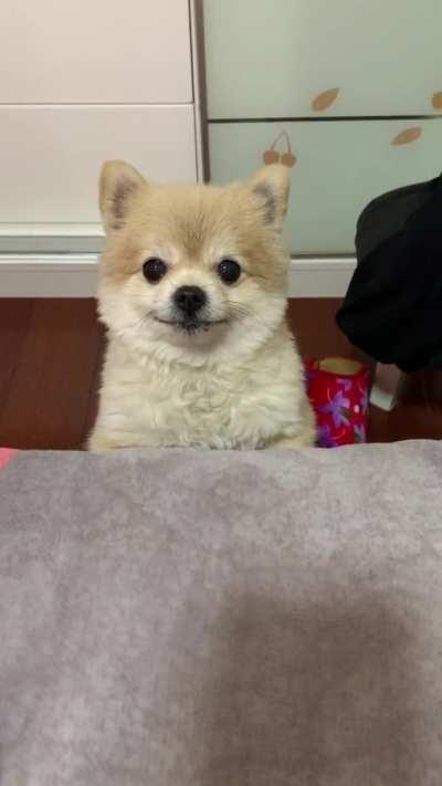 Well, hello, dear friend ... =)