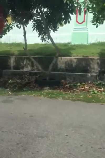 BeAsTlY BeHaViOr iN PuBlIc