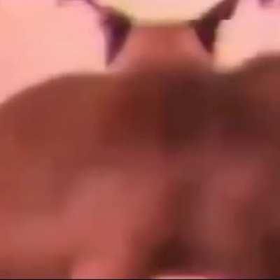 Some sogga that I used to know