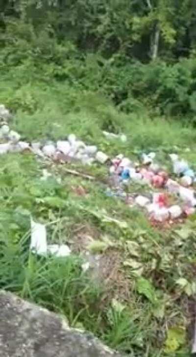 Workers Throwing Rubbish in Jungle. Got Publicly Scolded.