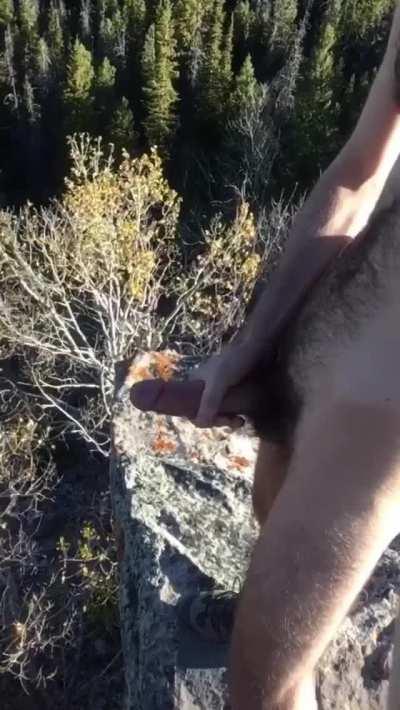 Load with a view 💦🌲