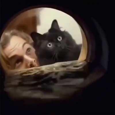 This movie seems to be better than I remember it. (1997)