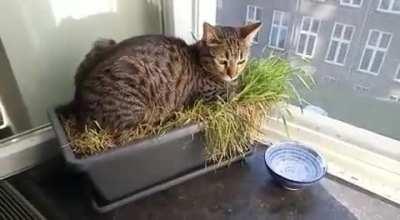 She&rsquo;s nesting!