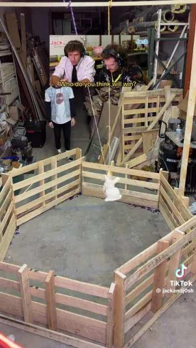 It's worth the watch 