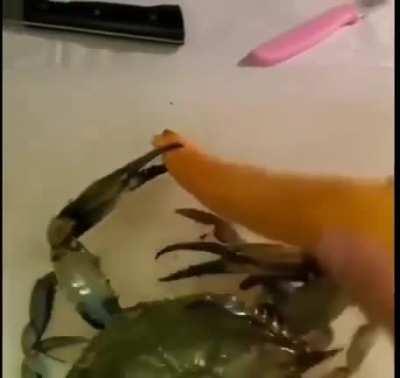 God's chosen is dead