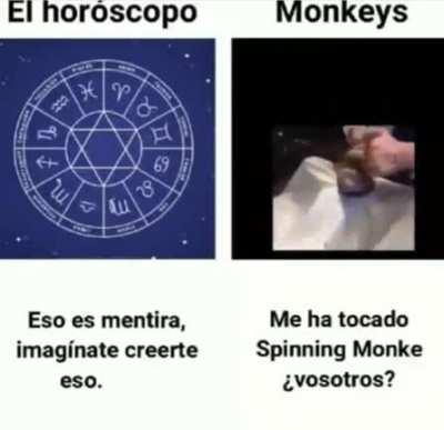 Soy smart monke y ustedes?