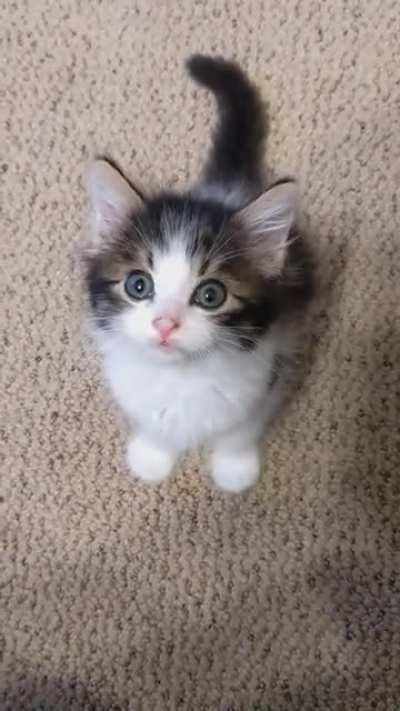 Baby yells from my foster, David.