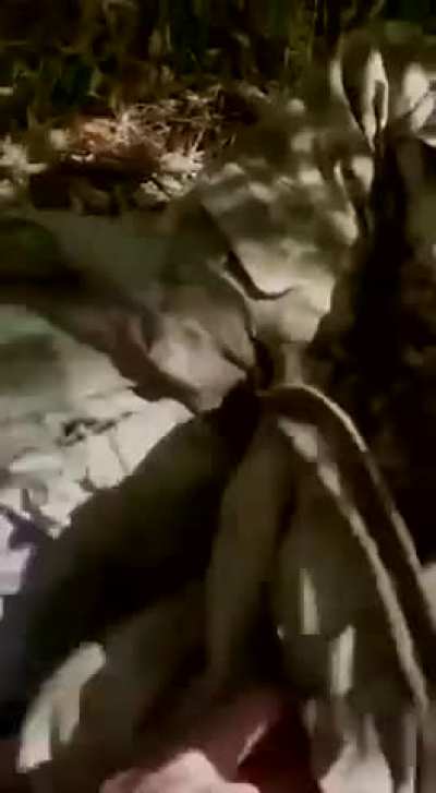 RU POV: GoPro Footage Ukrainian sabotage and reconnaissance group, destroyed by Russian Forces in the forest, Kursk region.