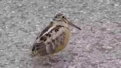 Me when *that* part of Biotonic hits