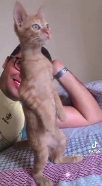 Respect for national anthem