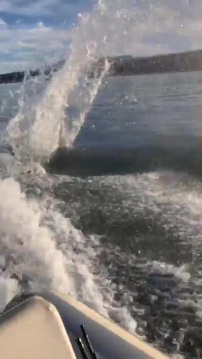 Canuck fans after hearing the Demko news today 