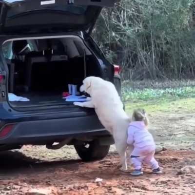 I will assist you to the best of my ability!