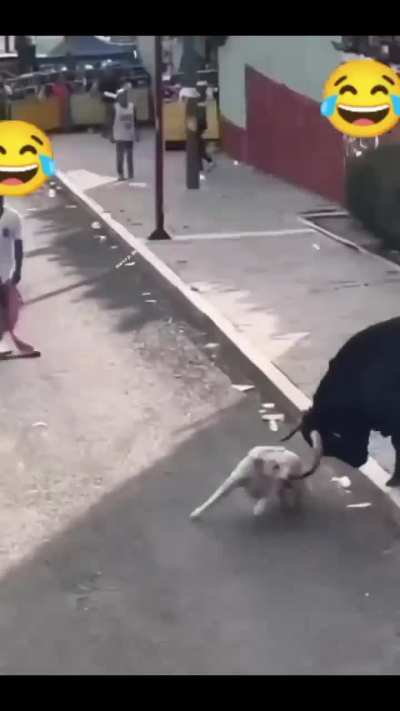 Por estar donde no debes 😂