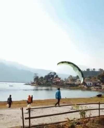 That's a pro right there