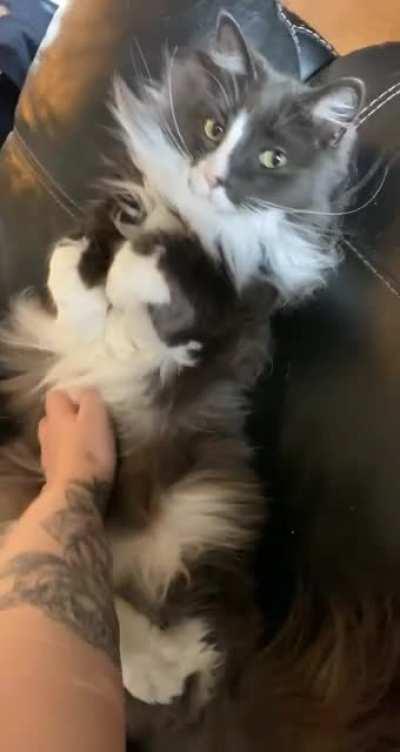 More Admiral Snugglebug! ~^•^~