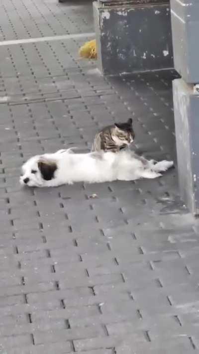 Do you accept a massage?