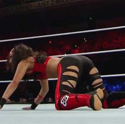 More Brie Bella