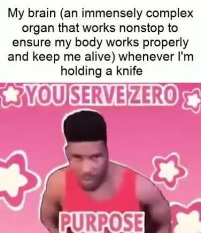 This meme was honestly just an excuse to use this video