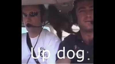 Updog
