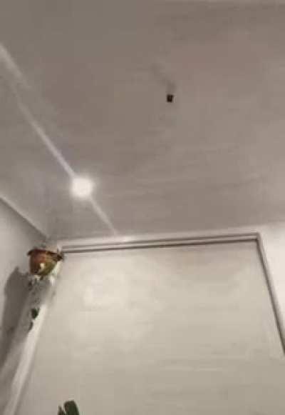 Hotwheels are so fun-