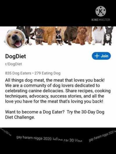 dog eat haram???! زنجي البيض الحرة dre 2020 free trial