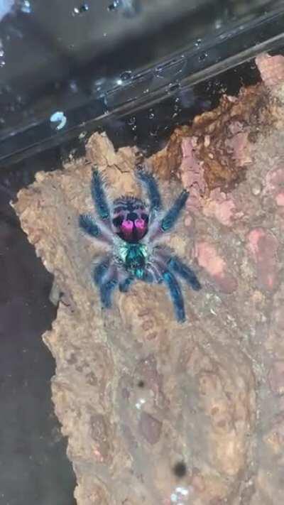 Gotta keep those cute little feet clean