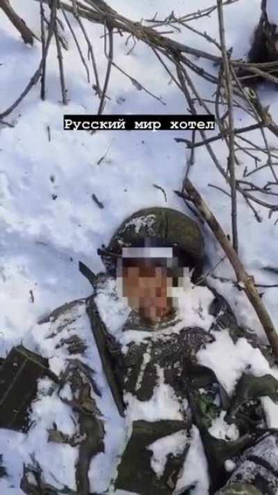 NSFW. A dead Russian soldier is urinated on. Do you think that being exposed to such bloodshed, sounds and smells of war eventually makes a person loose their sense of compassion and morals? These men will have a mental illness way more powerful than PTSD