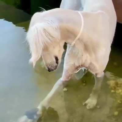 guess I'll stay like that