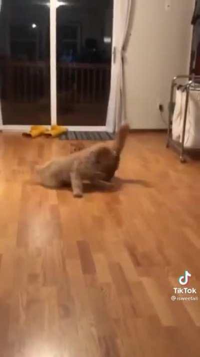 Don’t be f*cking RUDE