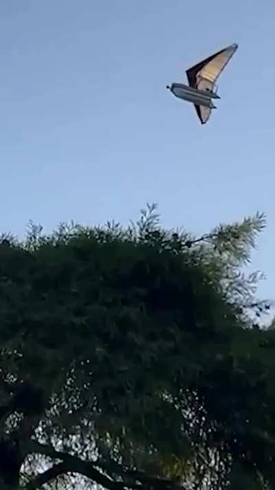 Un hombre sobrevolaba el canal costero de San Isidro en una lancha voladora y Prefectura Naval se la secuestró