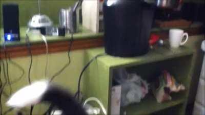 Purry Yelly Tobey Interviewed