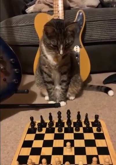 What do I do in this position?