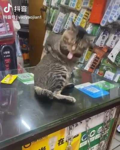 '' If human isn't gonna give back scritches, one gotta scritch their own back. ''