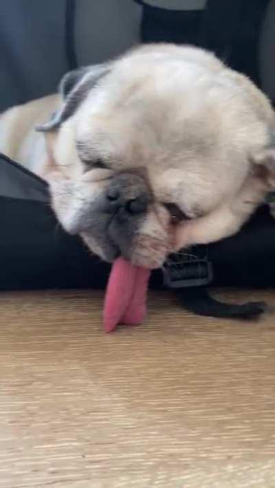 Time to hit the sack