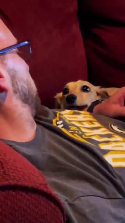 The look of unconditional love.