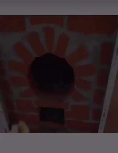 This is the dumbest thing I saw on the internet today