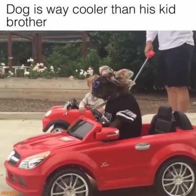 Kid's reaction at 5 sec. and then in the end.