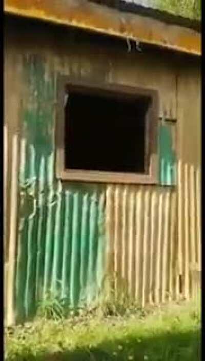 Carrasco 🤑🤑🥶🥵🥵😎😈