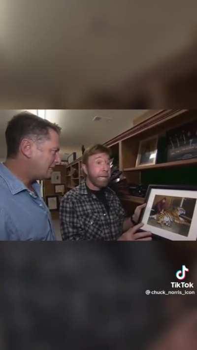 Just Chuck Norris making Chuck Norris jokes