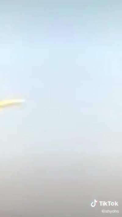 Squirrel 🐿 in da plane 😳😳