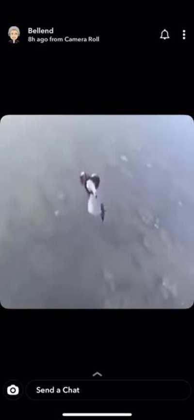 ARAB MAN DO BOMB?!?! 💣💣💥💥💥💥