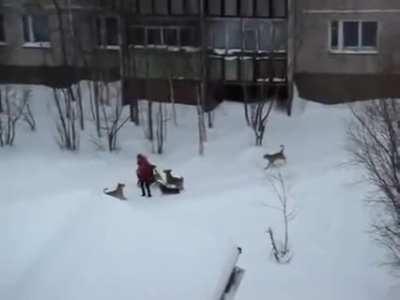 Yorick helping his mid during Naafiri gank