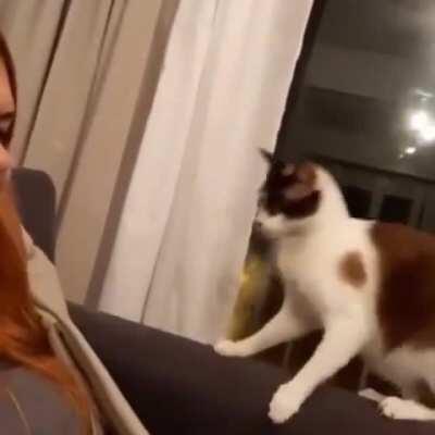 Always have a backup plan