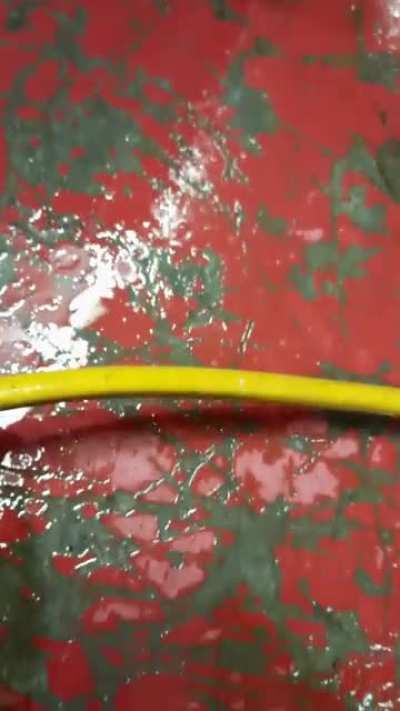 My hose is leaking.....somehow.