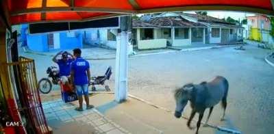 How I want to rob stores with my friend in RDO